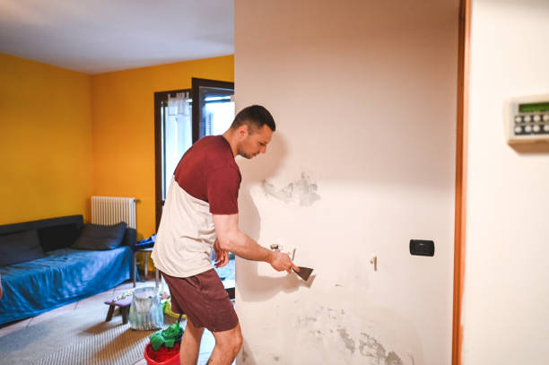 Best Mold Remediation for Specific Building Types in Kent, OH